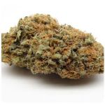 Шишки AK47 (Гидропоника, Бошка) VHQ в Белорецке Шишки AK47 (Гидропоника, Бошка) VHQ в Белорецке